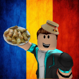 Romania Simulator