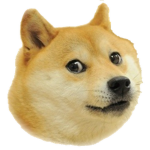 Doge Sоciety