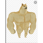 DOGE DOGE DOGE DOGE DOGE DOGE DOGE DOGES