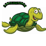 Turtle Squad Studio