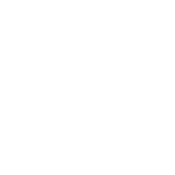Lightmania