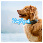 Woof Squad - Roblox