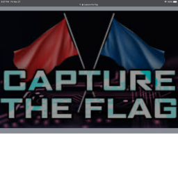 NEW capture the flag
