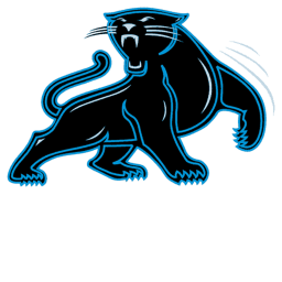 Bank Of America Stadium