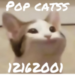 pop catss