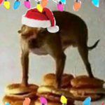 The Following of Googie