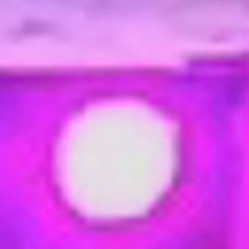 wassabi yeet