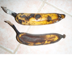 Moldy Banana hate group >:D