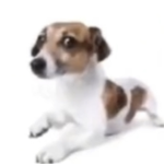 people that are good at roblox games