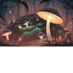 ~Mushroom Haven~