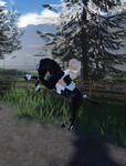Elegant Equestrians