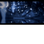 Official zero dragon group