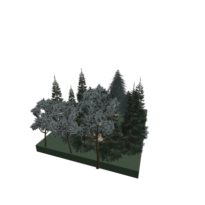 forest