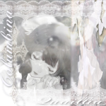 - c h i l l - v i b e s -