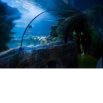 Aquarium Cartel