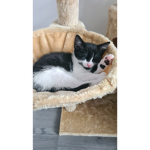 ~zoom~