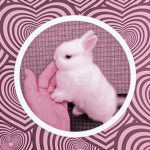 MissBunny
