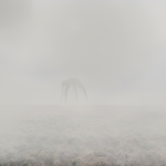 The Fog is Coming. 184.