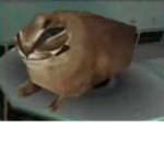 Robux per yolok