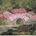 felora