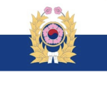 —Republic of Korea Army—