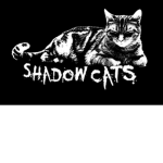 #Team Shadow_Cats