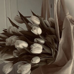 𝐇𝐞𝐚𝐫𝐭𝐛𝐫𝐞𝐚𝐤