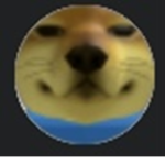 Russian Sly Fox