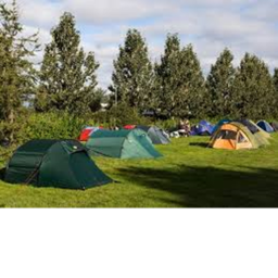 The Site.