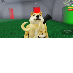 DOGE-Y TALK SHOW!!!