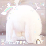 CatsFrends UwU