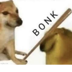 The group for bobux for the boys