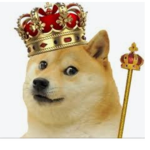 Dogeland scp