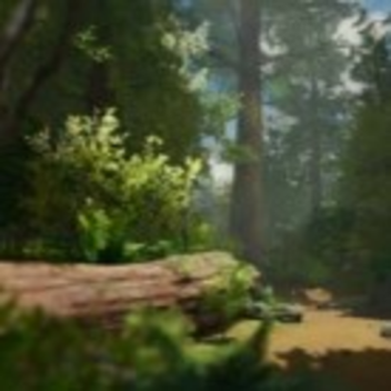 Roblox - Realistic Forest Demo