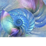 . ; * [~} NautilusClan {~] * ; .