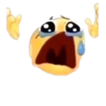 4fgfgty
