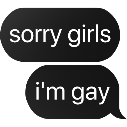 sorry girls i'm gay text Roblox item