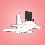 plane crazy supporters