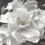 BLOOM..!