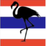 The Grand Flamingo Airforce