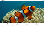 Los peces XD
