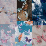 Butterfly_Aesthetic
