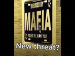 Bloxburg Mafia Gang, 2021