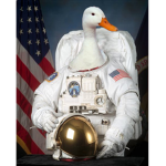 duckpeoples