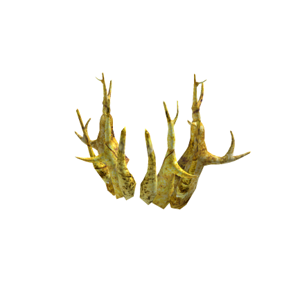 Gohdyilox Branches