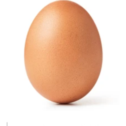 The Smart Eggs hangout