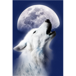 hunger games where wolf killers