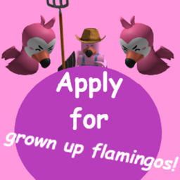 Apply for Grown Up Flamingos!