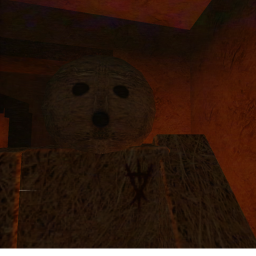 husk