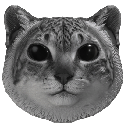 when you have a friend [CAT MEME]